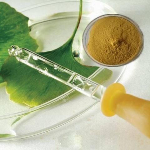 سب سے بہترین دوا جزو-Ginkgo Biloba اقتباس پاؤڈر کو موسم سرما میں