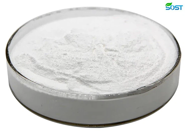 Lactobacillus Paracasei E Casei2 Lactobacillus Paracasei E Casei2