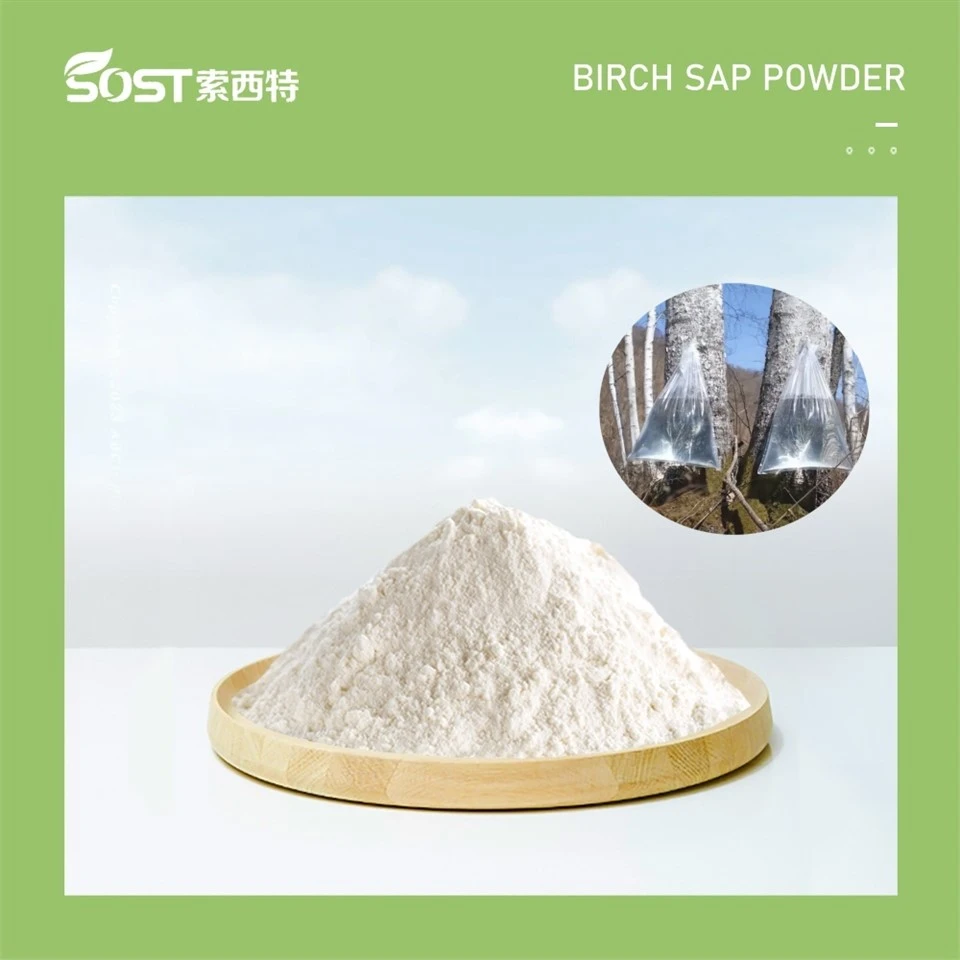 Birch Sap Powder