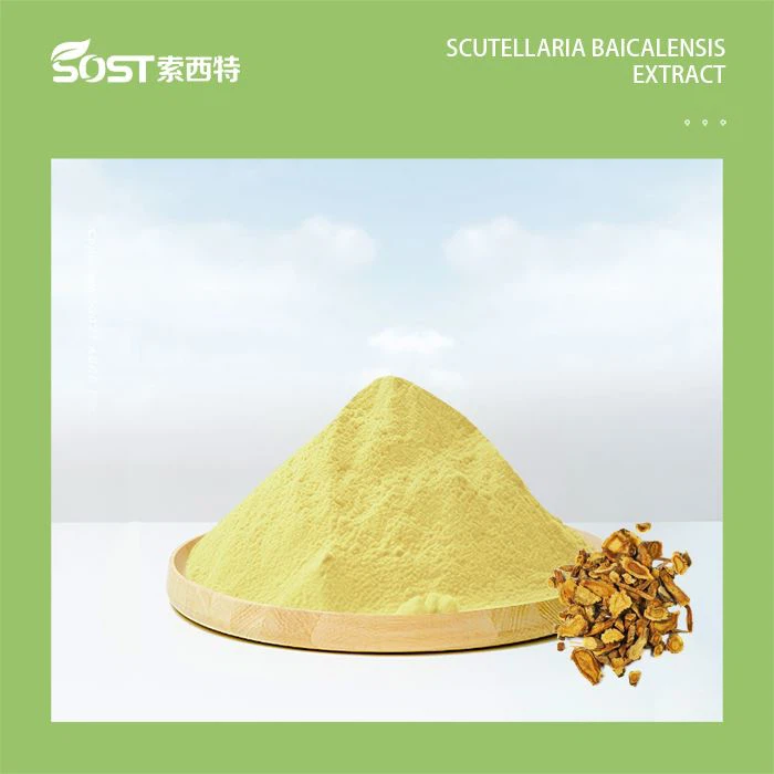 جلد کے لیے Scutellaria Baicalensis جڑ کا عرق