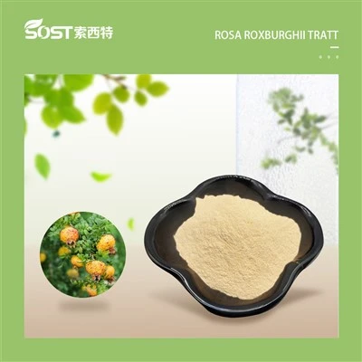روزا روکسبرگی ایکسٹریکٹ