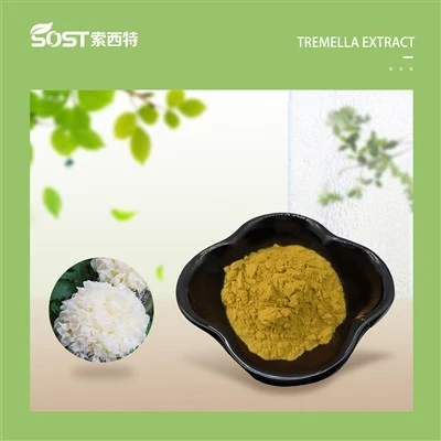 ٹریمیلا fuciformis مشروم نچوڑ