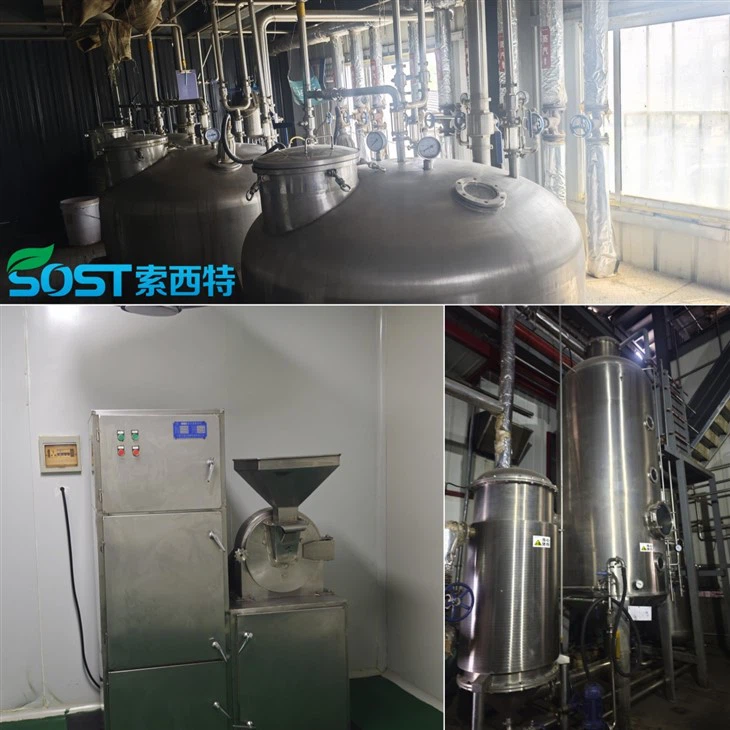 Alpha-Glucosyl Hesperidin Powder high quality