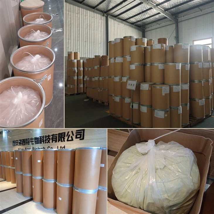Semen Cassiae Extract factory